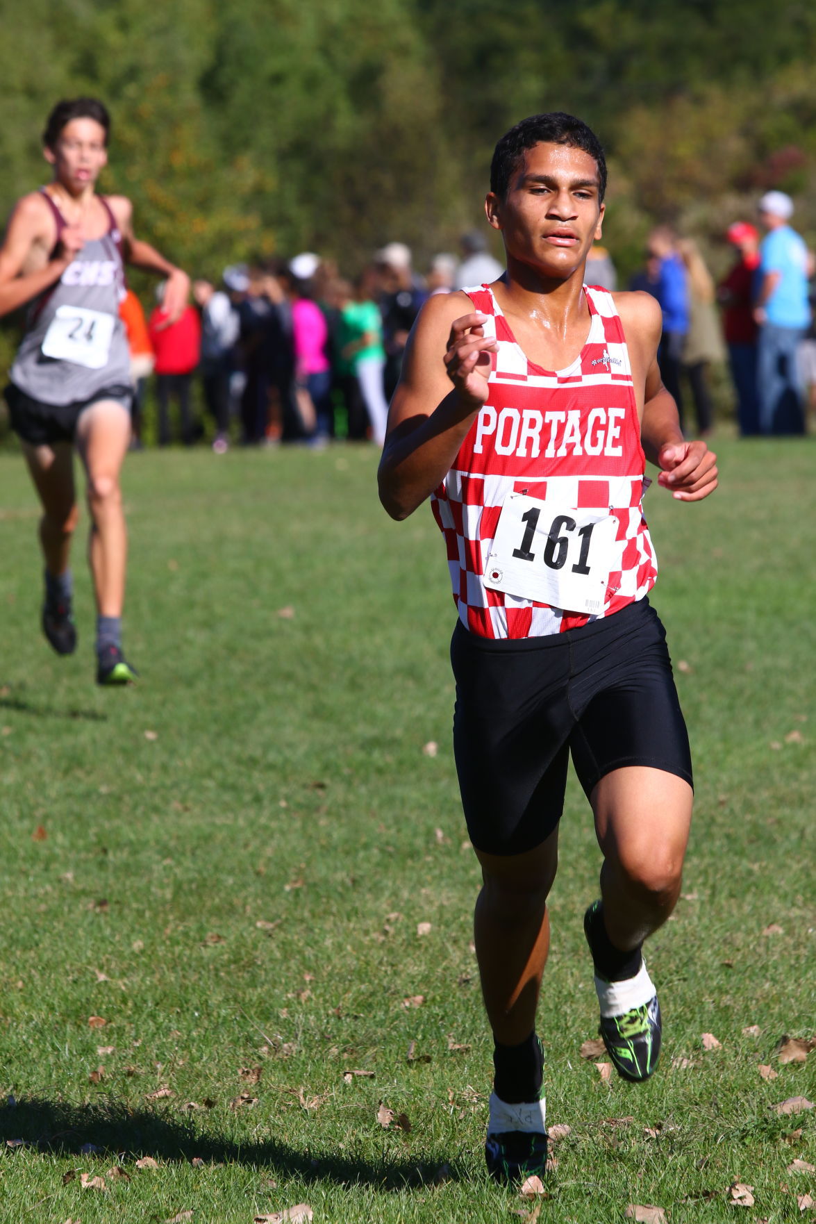 Gallery: Duneland Athletic Conference cross country meet